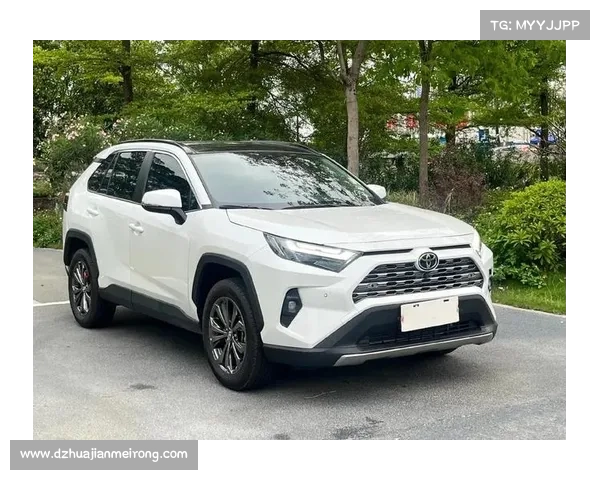 RAV4 荣放车主真实心声,优点与槽点大公开 RAV4 荣放车主真实心声,优点与槽点大公开
